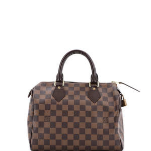 Louis Vuitton 25 Speedy Handbag Damier
